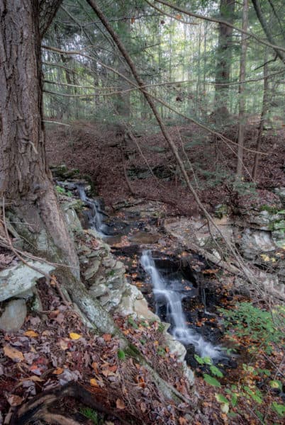 Cold Run Falls near Worlds End State Park