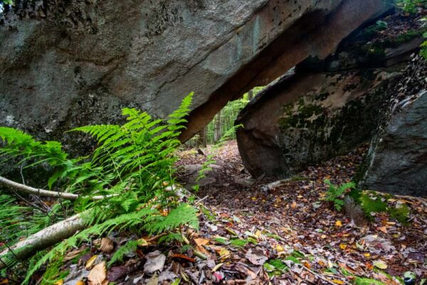 Rock Tunnel on the Cold Run Trail in Loyalsock State Forest