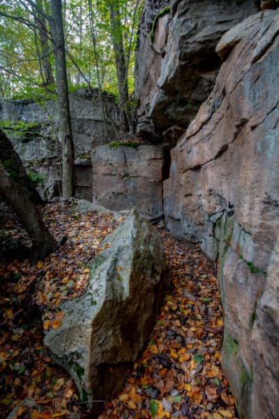 Rock maze on the Cold Run Trail in PA