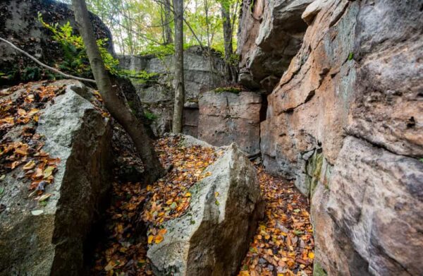 Hiking the Cold Run Trail in Worlds End State Park, Sullivan County, PA