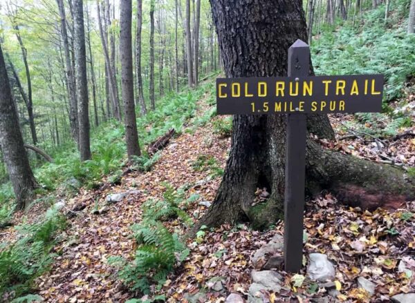 Cold Run Trail in Loyalsock State Forest, PA