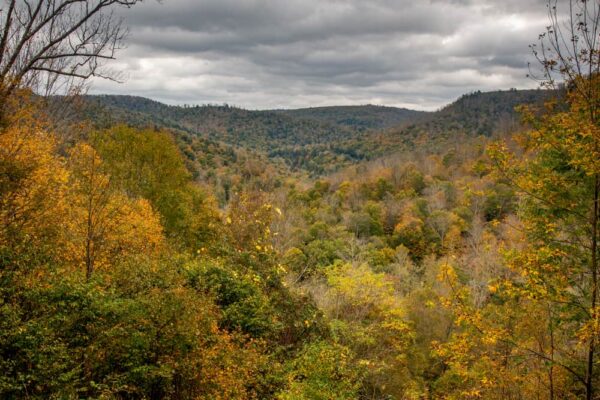 Cold Run Vista in Loyalsock State Forest