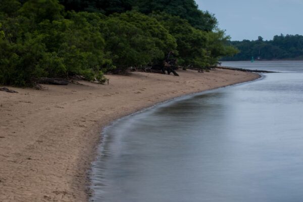 Beach at Neshaminy State Park in Bucks County, PA