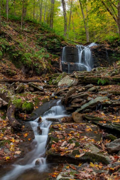 Cold Run Falls in Loyalsock State Forest