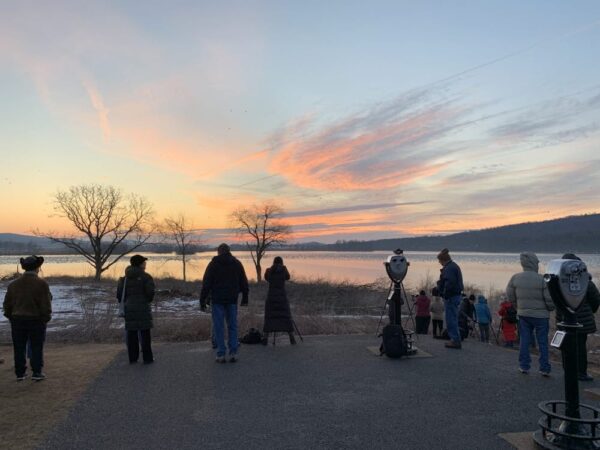 Willow Point viewing area for the Middle Creek Snow Goose Migration