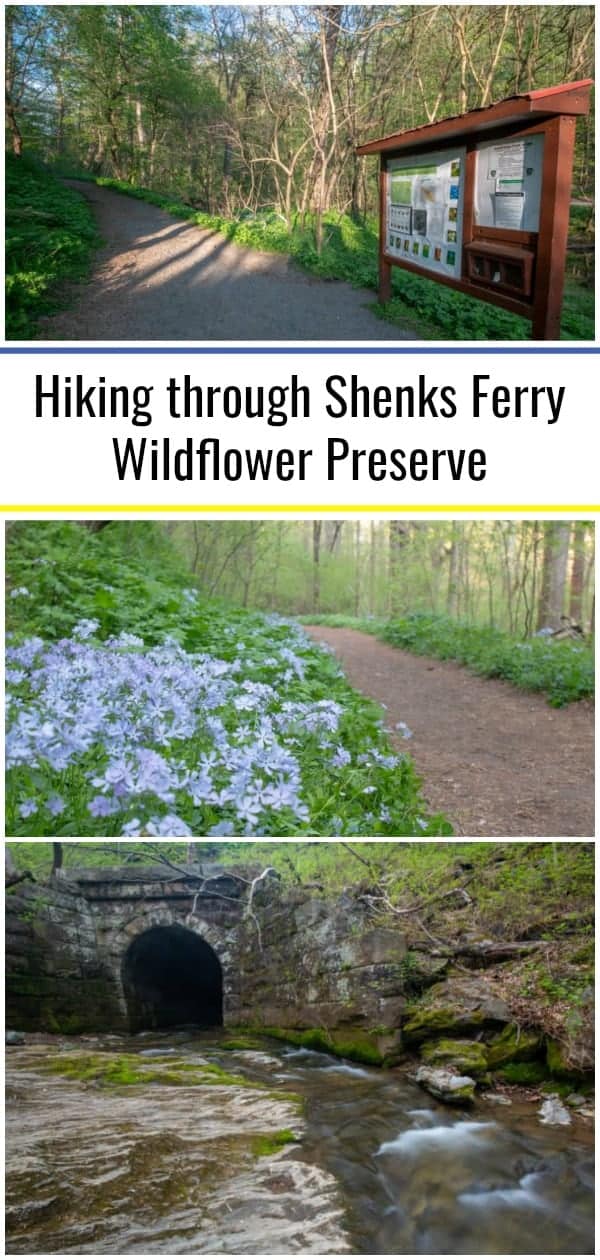 Hiking through Shenks Ferry Wildflower Preserve in Lancaster County, PA