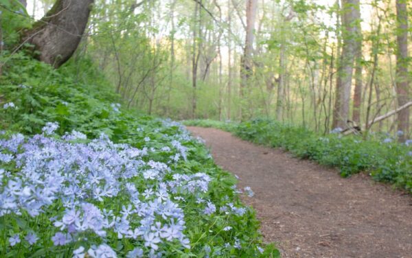 Hiking at Shenks Ferry Wildflower Preserve in Lancaster County, PA