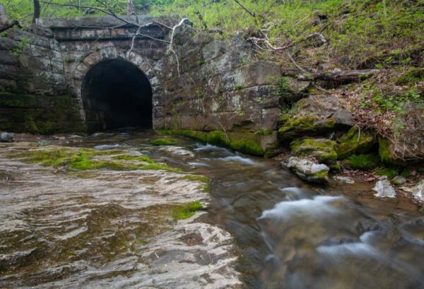 Tunnel at Shenks Ferry Wildflower Preserve