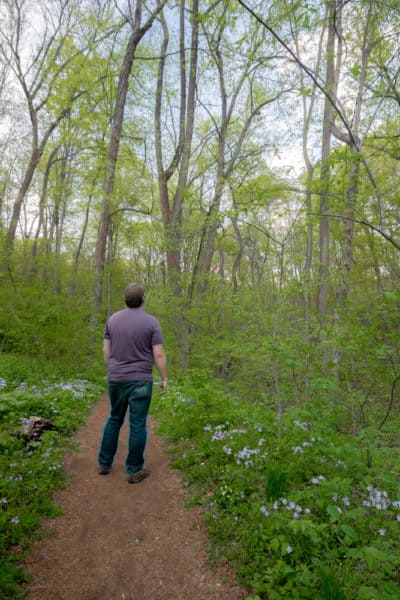 Trail at Shenks Ferry Wildflower Preserve