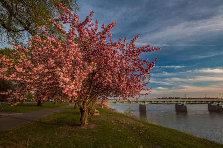 Spring In Pittsburgh The Latest Pennsylvania Travel Posts from UncoveringPA - Uncovering PA