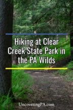 Hiking in Clear Creek State Park in the Pennsylvania Wilds
