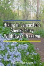 Hiking in Shenks Ferry Wildflower Preserve in Lancaster County, Pennsylvania
