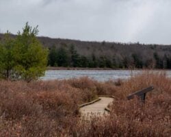 Hiking the Bog Trail in Black Moshannon State Park in Centre County, PA