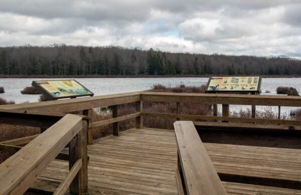 The viewing platform along the Bog Trail in Black Moshannon State Park