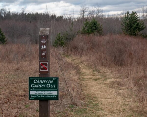 Hiking the Blueberry Trail in Black Moshannon State Park near Phillipsburg PA