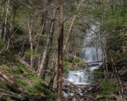 How to Get to Chimney Hollow Falls in the PA Grand Canyon