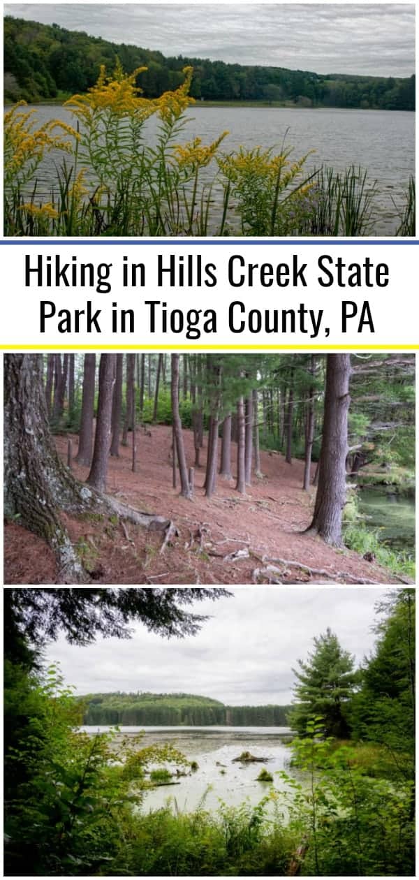 Hiking In Hills Creek State Park In Tioga County Pa Uncovering Pa 0400