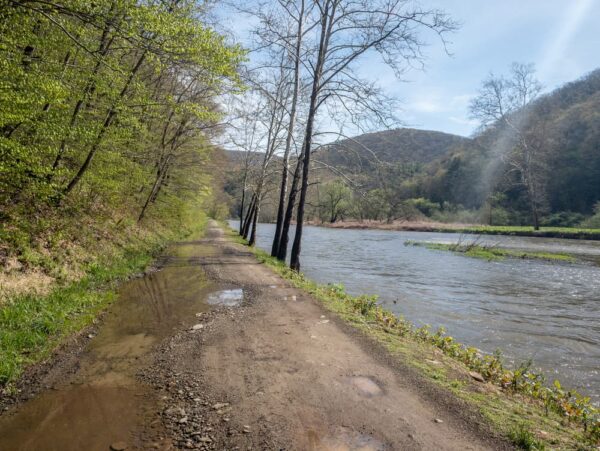 Owassee Road in Tioga State Forest