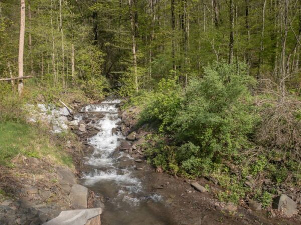 Owassee Slide Run in the Pennsylvania Grand Canyon