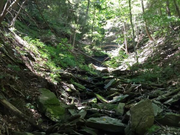 Hiking up Owassee Slide Run in the Pine Creek Gorge