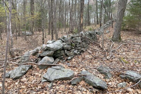 Old stone wall ruins at Camp Hidden Falls Girl Scout Camp