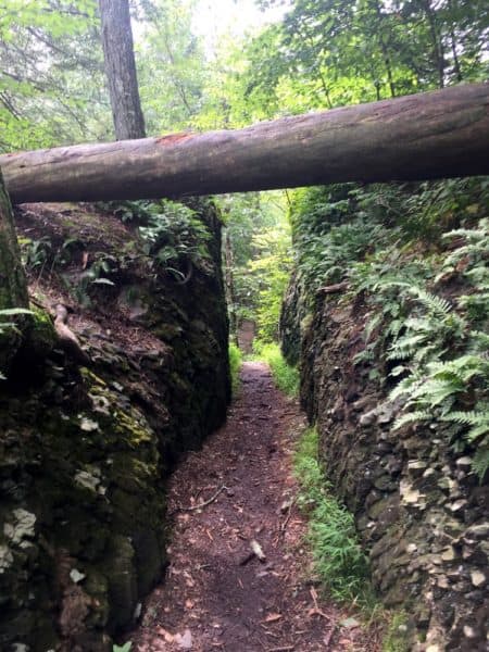 Trail in Marshall's Falls Park near Stroudsburg, Pennsylvania