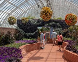 Exploring the Beauty of Phipps Conservatory in Pittsburgh