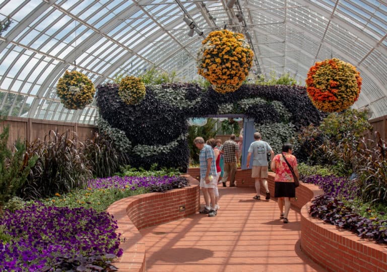 Exploring The Beauty Of Phipps Conservatory In Pittsburgh - Uncovering PA