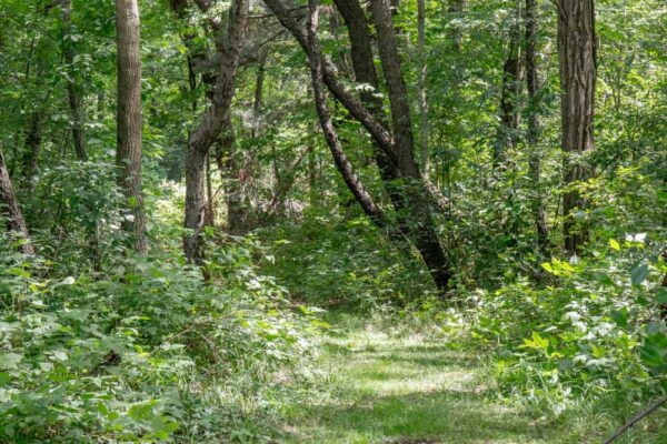 Hiking trails in Presque Isle State Park