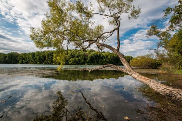 Trilhas de caminhada circundam o lago no Marsh Creek State Park perto da Filadélfia, Pensilvânia