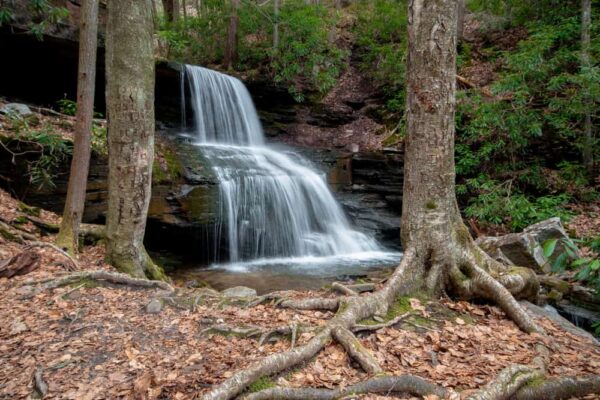 Round Island Run Falls in Clinton County, Pennsylvania