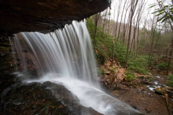 Behind Round Island Run Falls in Sproul State Forest