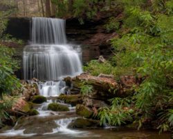 How to Get to Round Island Run Falls in Sproul State Forest