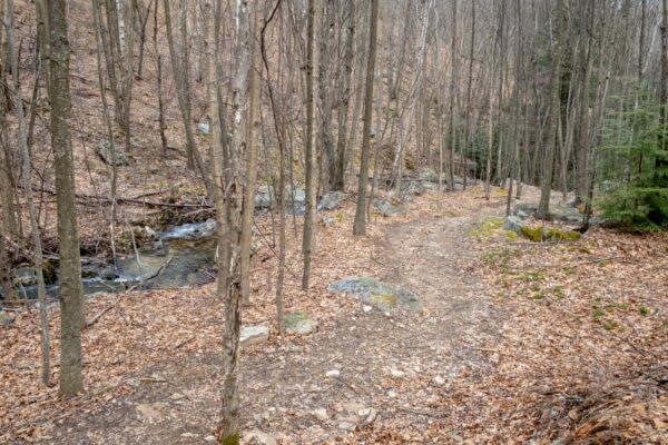 Round Island Run Trail in Sproul State Forest