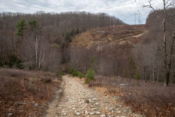 Trail to Round Island Run Falls near the Quehanna Wild Area