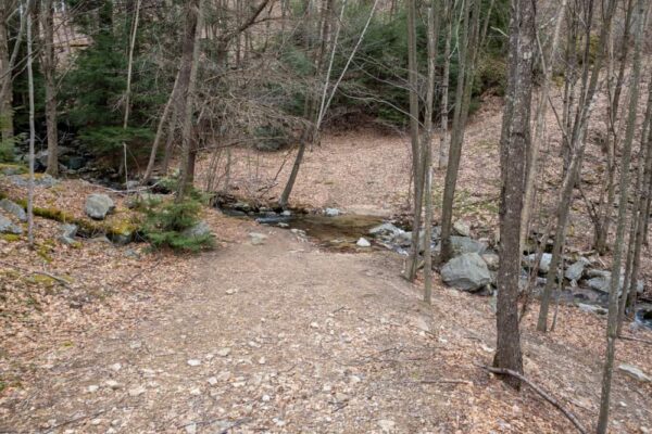 Trail to Round Island Run Falls in Clinton County, PA