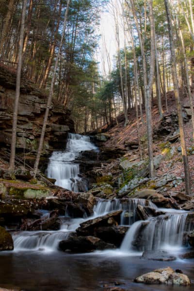 Alpine Falls in Loyalsock State Forest