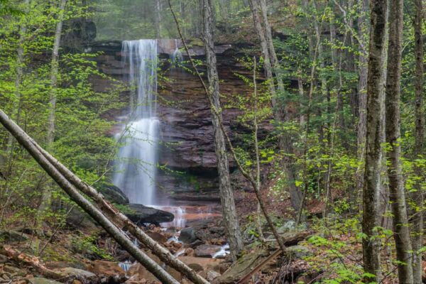 Dutchman Run Falls near Williamsport, PA