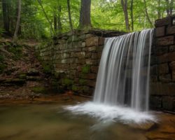 How to Get to Henry Run Sawmill Dam Falls in Cook Forest State Park