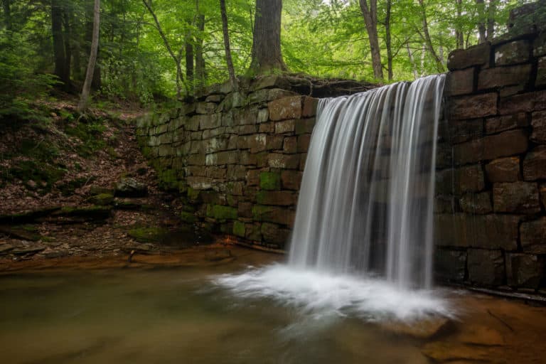 8 Amazing Things to Do in Cook Forest State Park UncoveringPA