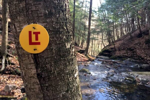 Loyalsock Trail marker in Sullivan County, PA