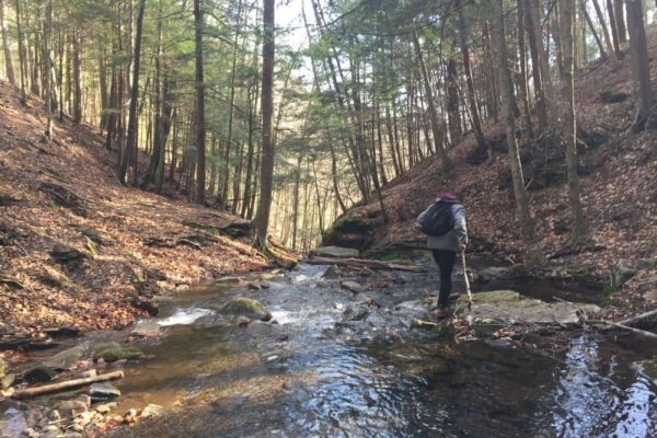 Above Alpine Falls on the Loyalsock Trail