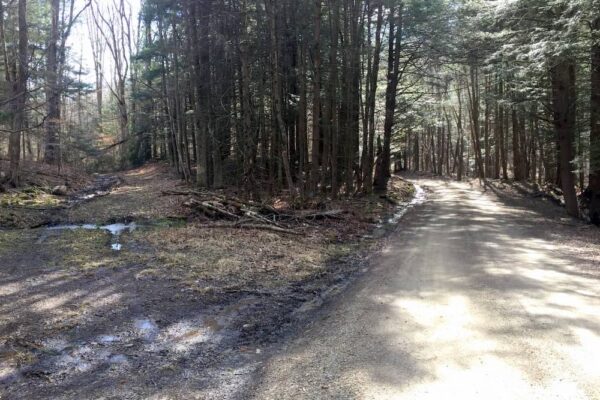 Parking area for Alpine Falls in Loyalsock State Forest