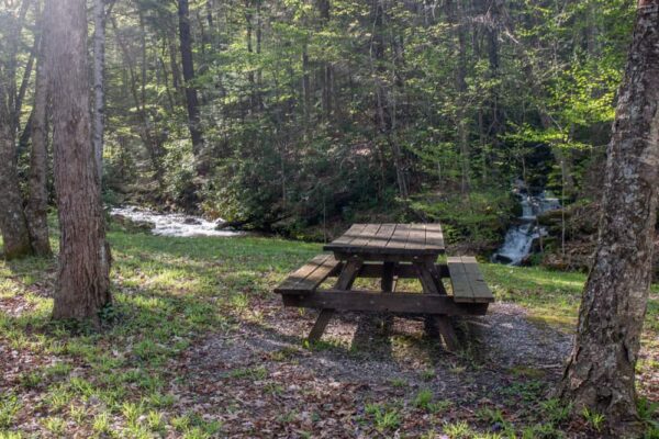 Upper Pine Bottom State Park in Lycoming County, PA