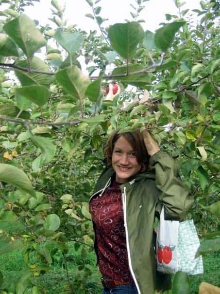 20 Great Orchards for Apple Picking in PA (Updated for 2023 ...