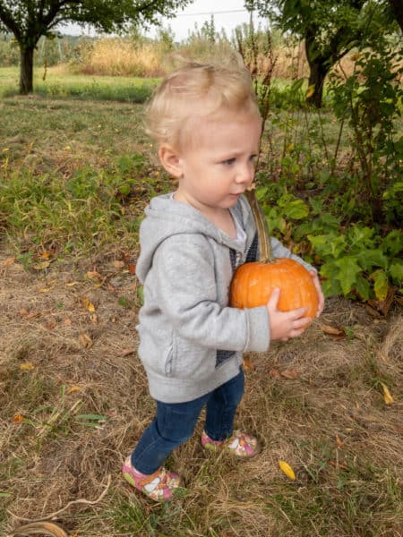 Girl going pumpkin picking at Mt Airy Orchards in York County Pennsylvania