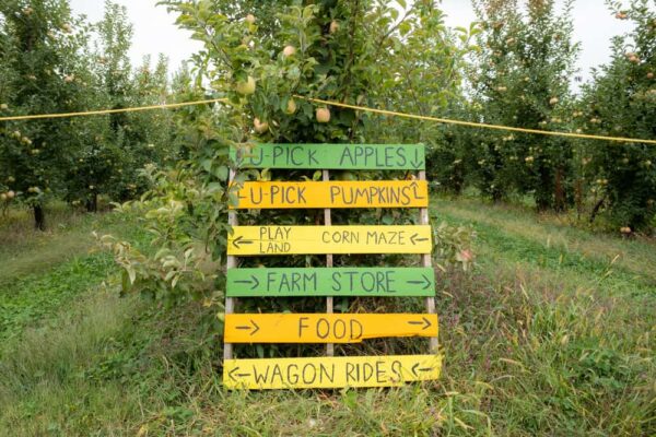 Sign of things to do at Mt Airy Orchards in York County PA