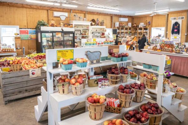 Inside Mt Airy Orchards' farmstand.