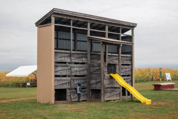 Fall fun at Mount Airy Orchard in Dillsburg, Pennsylvania