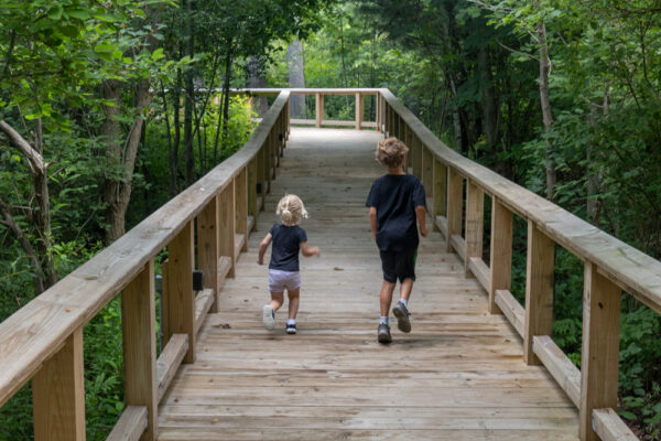 Kids hiking the Boardwalk Trail at Asbury Woods in Erie Pennsylvania